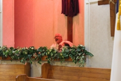 IMG_0787